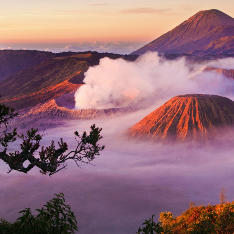 INDONESIA: GIAVA, BALI & GILI