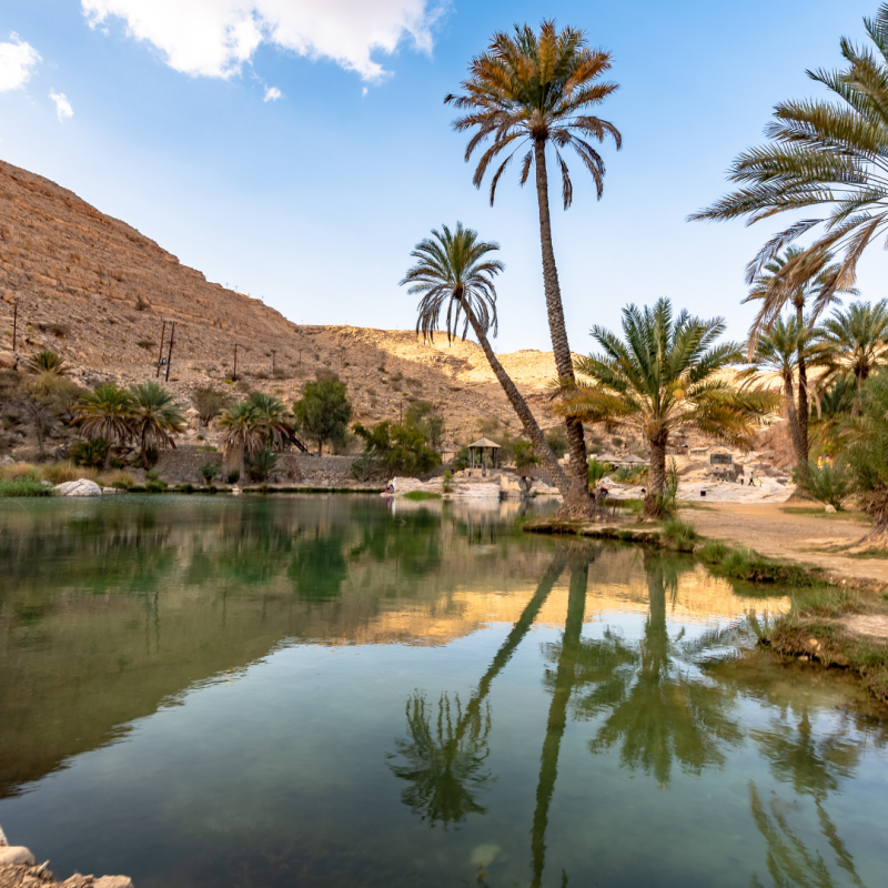 OMAN ADVENTURE: TRA DESERTI INFINITI, OASI NASCOSTE E CITTÀ ANTICHE