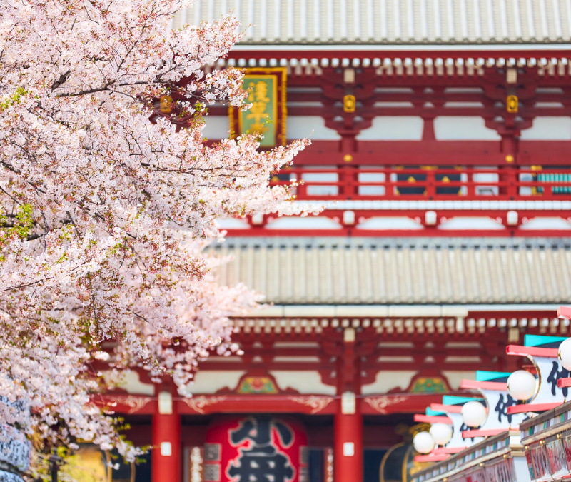 GIAPPONE HANAMI: DA TOKYO A HIROSHIMA